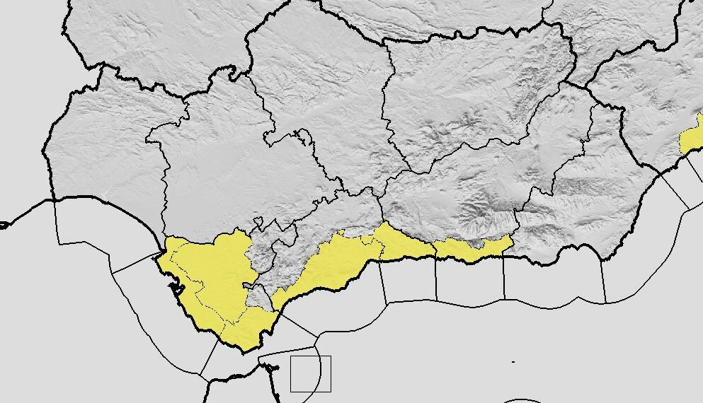 Nuevo aviso amarillo en la provincia: de madrugada y con unos 15 litros por metro cuadrado