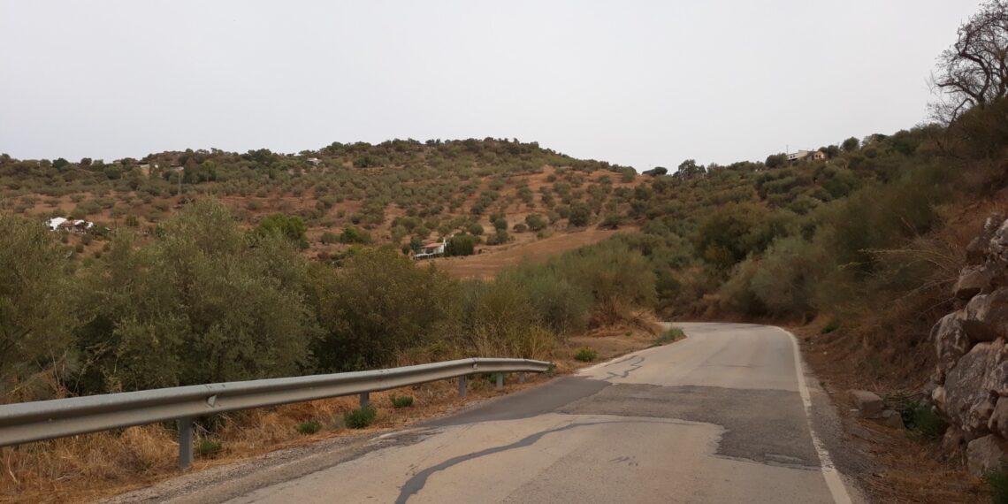 La Diputación invierte 1,2 millones en la mejora de la carretera Benamargosa-Riogordo