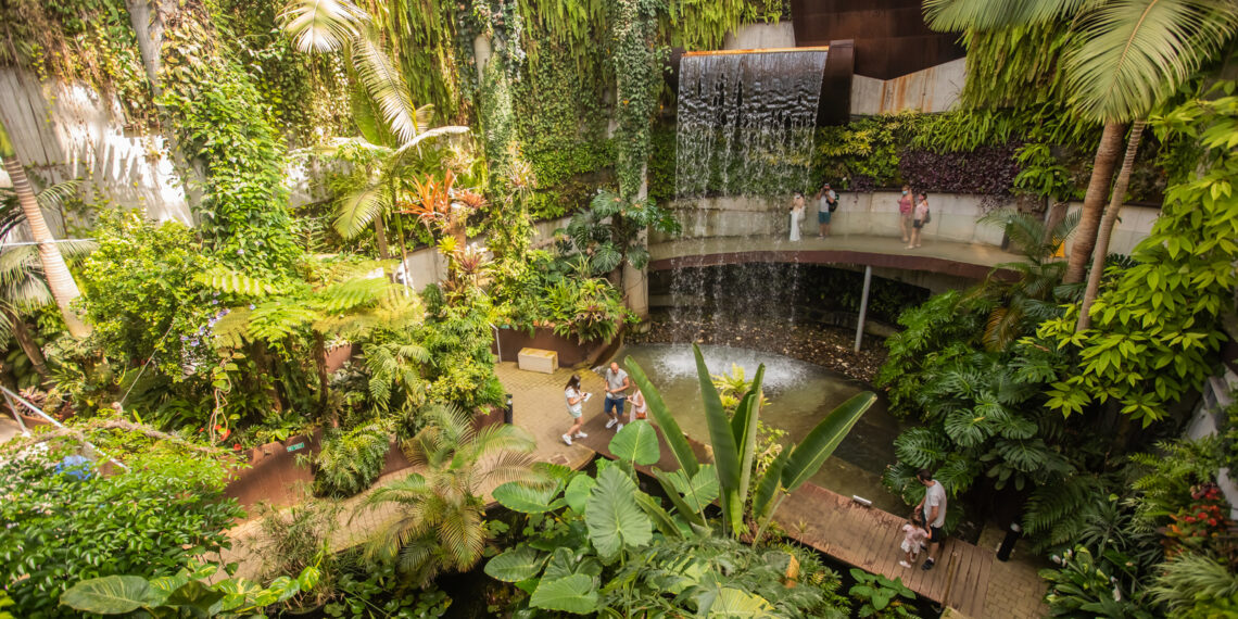 El Orquidario de Estepona cumple diez años consolidado como una joya botánica de Europa