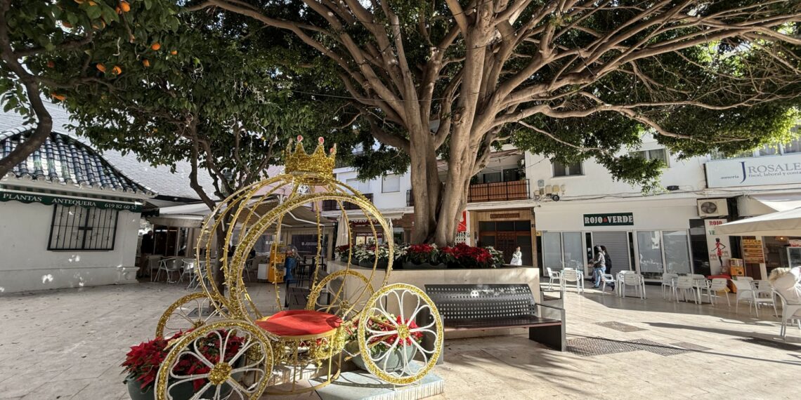 El Ayuntamiento de Estepona refuerza el embellecimiento floral navideño con 23.000 plantas