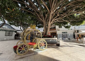 El Ayuntamiento de Estepona refuerza el embellecimiento floral navideño con 23.000 plantas