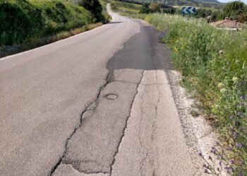 La Diputación adjudica por 3,1 millones de euros el arreglo de la carretera de acceso al Valle del Guadiaro desde Ronda