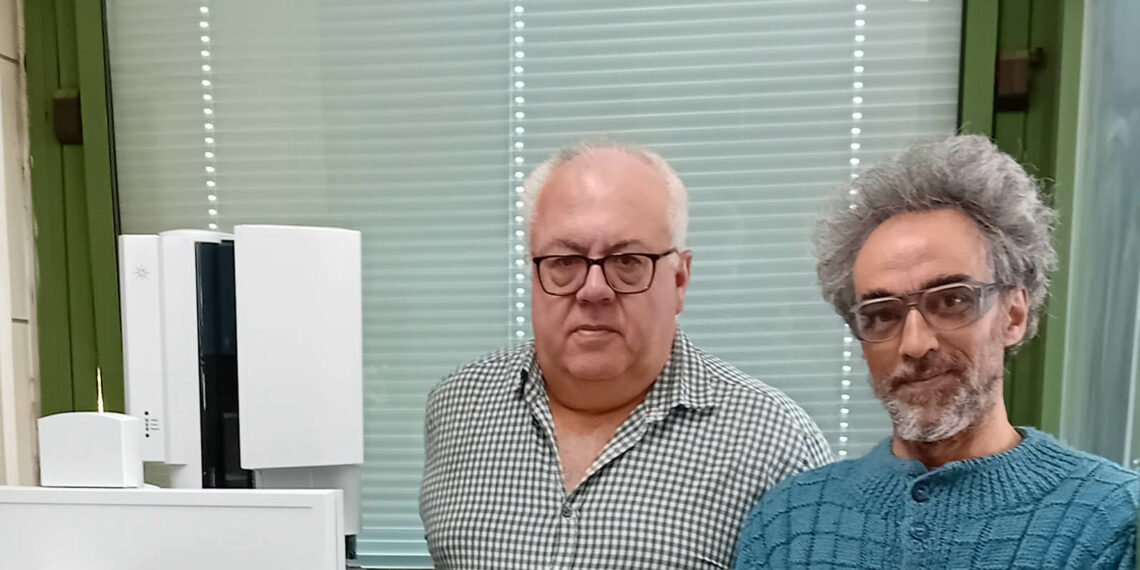 Científicos andaluces diseñan un método rápido para analizar las propiedades saludables del comino negro