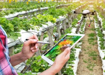 Andalucía Agrotech impulsa la digitalización de más de 800 pymes del sector agroalimentario