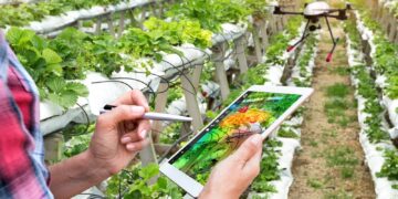 Andalucía Agrotech impulsa la digitalización de más de 800 pymes del sector agroalimentario