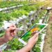 Andalucía Agrotech impulsa la digitalización de más de 800 pymes del sector agroalimentario
