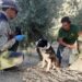 La Unidad Canina de la Junta, clave en la lucha contra el veneno en el medio natural
