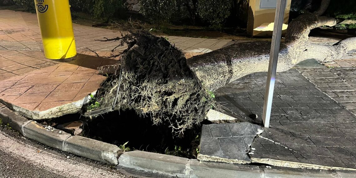 El fuerte viento provoca una veintena de incidencias en el litoral malagueño