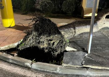 El fuerte viento provoca una veintena de incidencias en el litoral malagueño