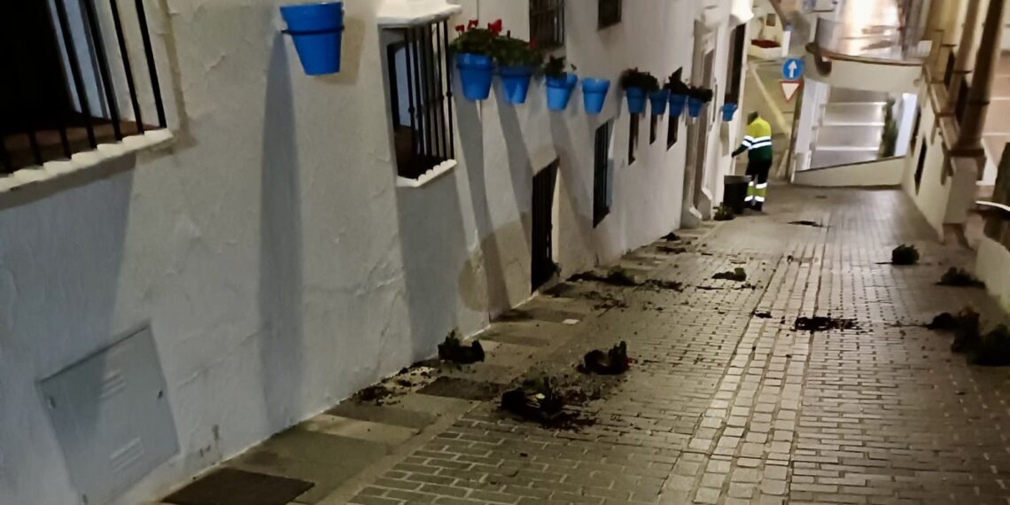 Vandalismo en Mijas: rompen macetas en la Cuesta de la Villa del pueblo