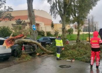 Bomberos trabajan en más de una veintena de incidencias por el temporal en Málaga