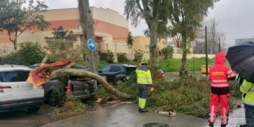 Bomberos trabajan en más de una veintena de incidencias por el temporal en Málaga