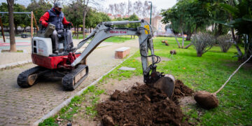 El Ayuntamiento planta 33 nuevos árboles en el Parque de María Luisa para renovar el arbolado afectado por una plaga