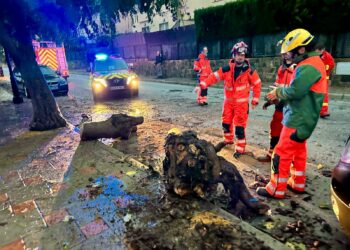 Balance “satisfactorio” del dispositivo de seguridad en Navidad pese a los 14 avisos meteorológicos activados en este periodo