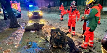 Balance “satisfactorio” del dispositivo de seguridad en Navidad pese a los 14 avisos meteorológicos activados en este periodo