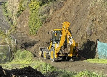 Estepona despliega a las brigadas municipales para la limpieza y arreglos de caminos afectados por el temporal