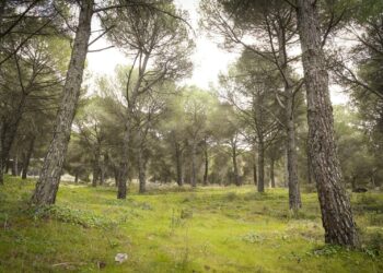 La Junta destina cerca de 400.000 euros a la puesta en valor del Parque Periurbano de Ronda