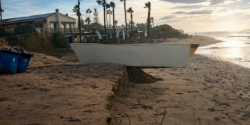 Marbella retira más de 1.460 toneladas de cañas del litoral tras los últimos temporales