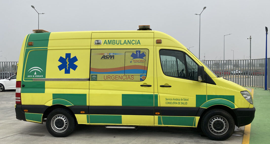 Fallece una mujer tras caerle una palmera debido al fuerte viento en Torremolinos