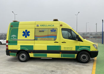 Fallece una mujer tras caerle una palmera debido al fuerte viento en Torremolinos