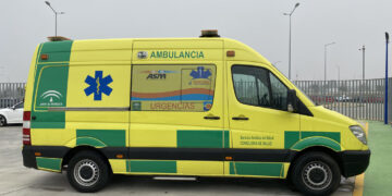 Fallece una mujer tras caerle una palmera debido al fuerte viento en Torremolinos