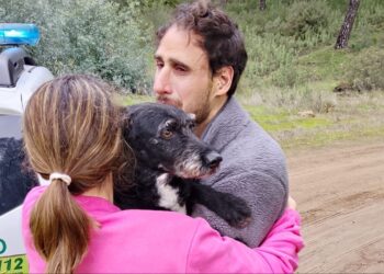 Agentes del INFOCA rescatan a Boro, el perro desaparecido en Adamuz