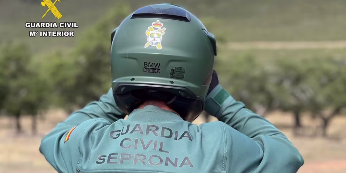 Rescatados 125 animales con heridas y enfermedades: la Guardia Civil investiga a 66 personas