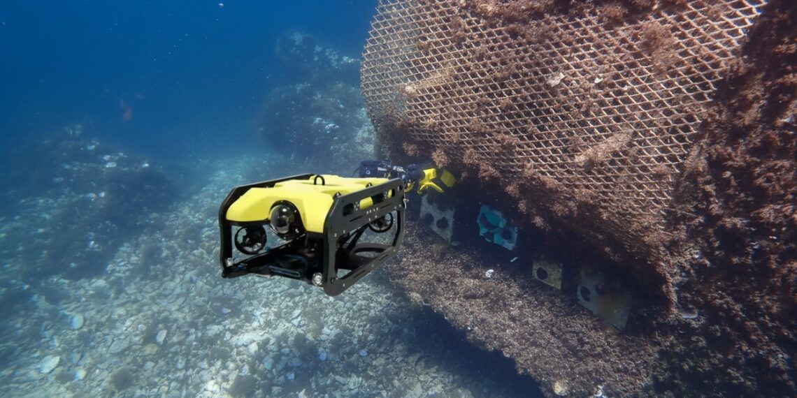 El Puerto Deportivo de Marbella impulsa la biodiversidad marina con la instalación de seis microarrecifes