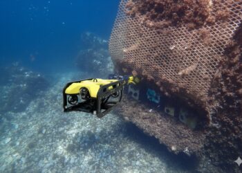 El Puerto Deportivo de Marbella impulsa la biodiversidad marina con la instalación de seis microarrecifes