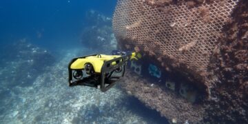 El Puerto Deportivo de Marbella impulsa la biodiversidad marina con la instalación de seis microarrecifes