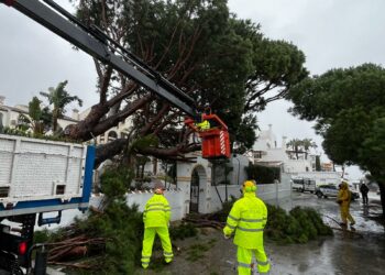 El temporal de lluvia y viento se salda con una veintena de incidencias, en especial caída de árboles y desprendimientos