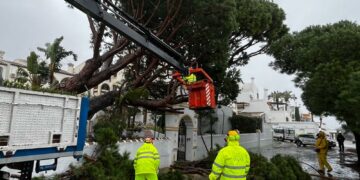 El temporal de lluvia y viento se salda con una veintena de incidencias, en especial caída de árboles y desprendimientos