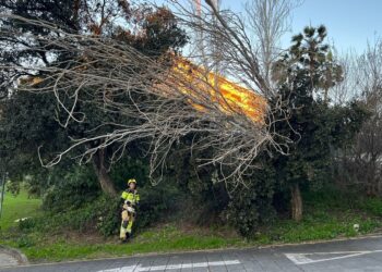 Registradas más de una veintena de intervenciones en el Día de Reyes por las fuertes rachas de viento, sin tener que lamentar daños personales