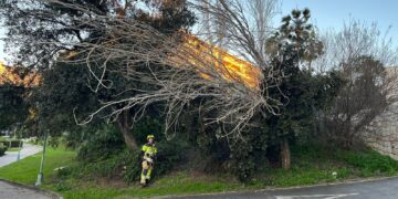 Registradas más de una veintena de intervenciones en el Día de Reyes por las fuertes rachas de viento, sin tener que lamentar daños personales