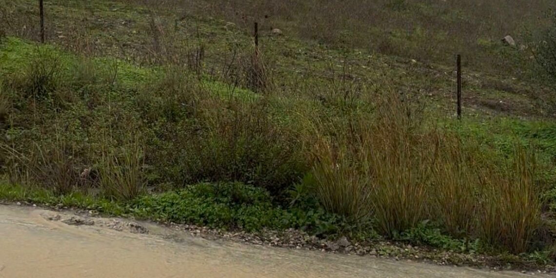 Cortada al tráfico la carretera de Los Pedregales por las intensas lluvias