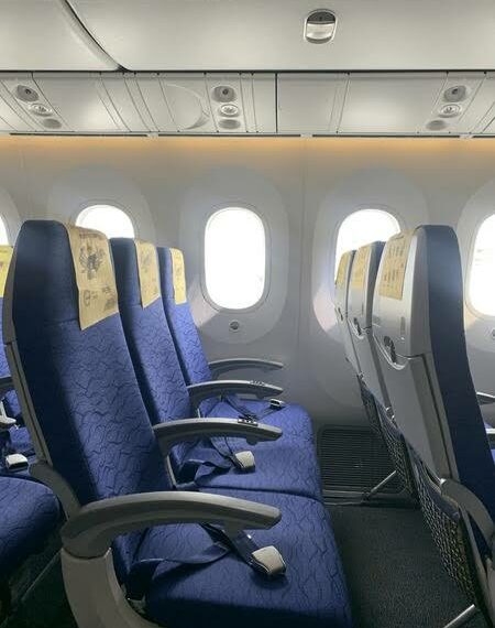 Arrestado en Málaga un pasajero tras una presunta agresión sexual durante un vuelo