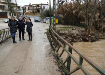 Desalojos preventivos en Ronda a vecinos de zonas rurales inundables