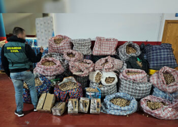 Tres detenidos por robar y enviar a Málaga cápsulas secas de amapola adormidera, vinculada con la producción de opio