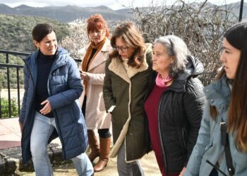 La Junta considera clave para Málaga la inclusión del sector turístico en las ayudas para zonas catastróficas