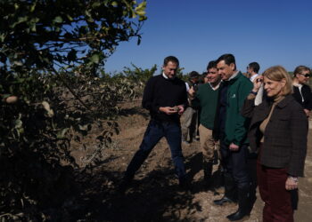 Moreno reclama a Europa que sume cuanto antes sus recursos al Plan ‘Andalucía Actúa’: «Os necesitamos»