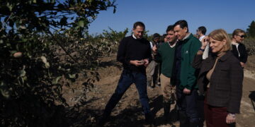 Moreno reclama a Europa que sume cuanto antes sus recursos al Plan ‘Andalucía Actúa’: «Os necesitamos»