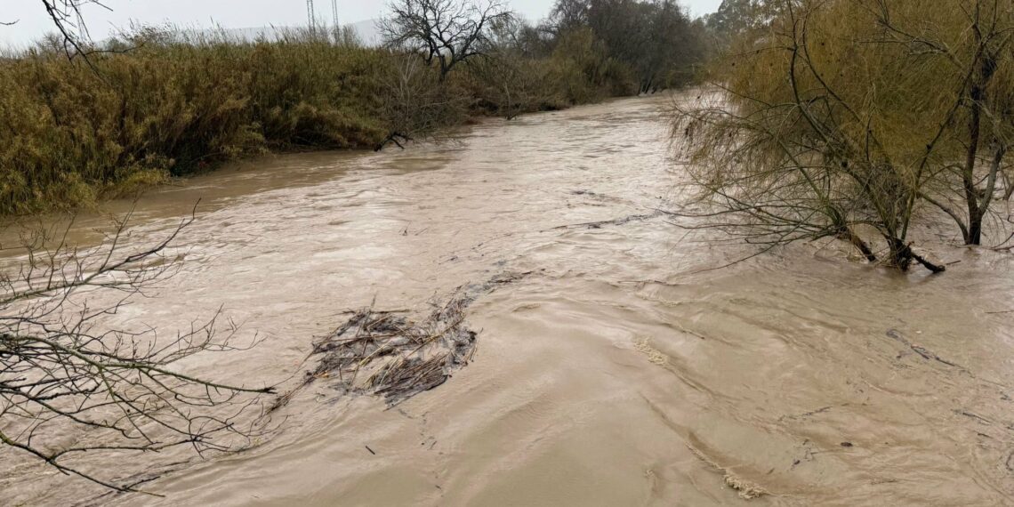 Preocupación ante la crecida del Guadiaro en El Secadero en el entorno del puente de Tesorillo