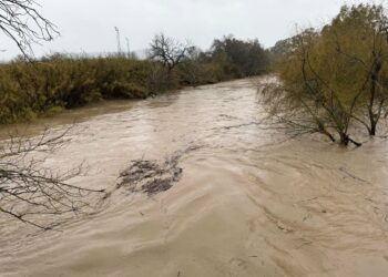 Preocupación ante la crecida del Guadiaro en El Secadero en el entorno del puente de Tesorillo