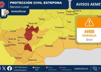 Estepona activa el Plan Territorial de Emergencia Local y cierra parques e instalaciones deportivas