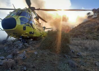 Infoca da por «controlado» un incendio forestal en Istán