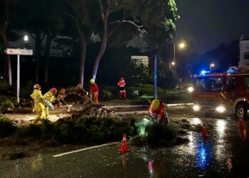 Mijas envía efectivos de Bomberos como refuerzo a San Martín del Tesorillo por las inundaciones