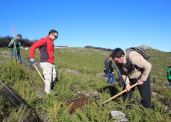 El Ayuntamiento de Mijas organiza con la Junta de Andalucía un taller medioambiental sobre la prevención de incendios forestales