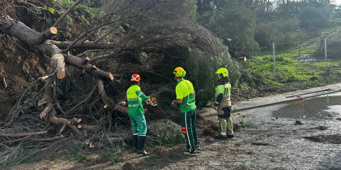 Mijas reabre los parques tras el paso de los temporales que arrojan más de ochenta incidencias