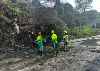 Mijas reabre los parques tras el paso de los temporales que arrojan más de ochenta incidencias
