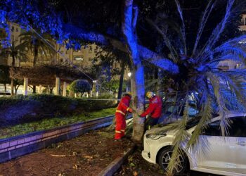 El Ayuntamiento de Fuengirola atiende más de una decena incidencias producidas por el paso de la borrasca Leonardo por la ciudad